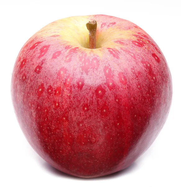 Manzana roja . — Foto de Stock