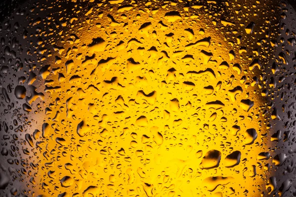 Gotas em uma cerveja de garrafa . — Fotografia de Stock