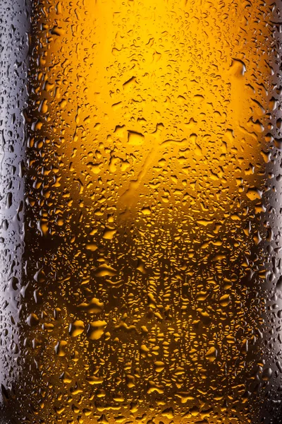 Droppar på en flaska öl. — Stockfoto