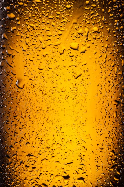 Gotas em uma cerveja de garrafa . — Fotografia de Stock