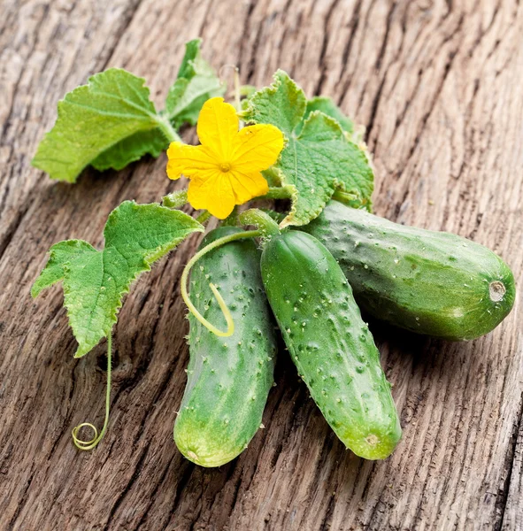 Cucumbers with leaves — Stock Photo, Image