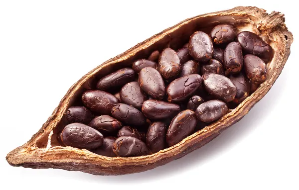 Cocoa pod — Stock Photo, Image