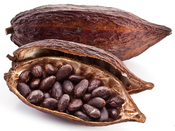 Vaina de cacao — Foto de Stock