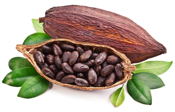 Cocoa pod — Stock Photo, Image