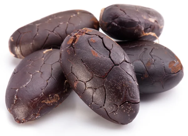 Cocoa beans — Stock Photo, Image