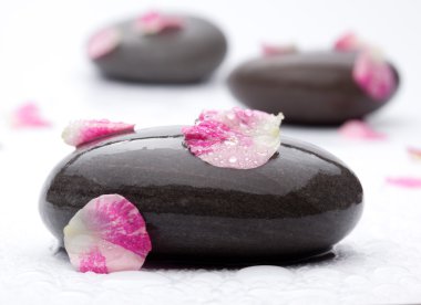gül yaprakları ile Spa taşlar.