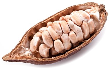 kakao kapsülü