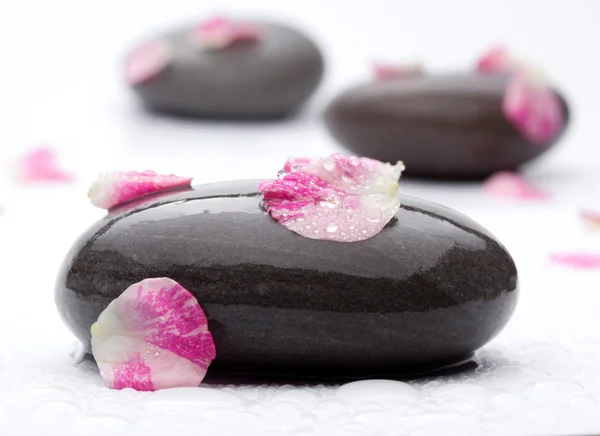 Piedras de spa con pétalos de rosa . — Foto de Stock