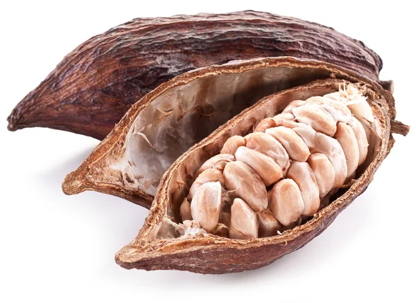 Cialde di cacao — Foto Stock