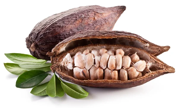 Cocoa pod — Stock Photo, Image