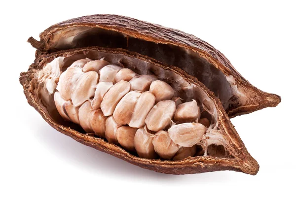 Kakao pod — Zdjęcie stockowe