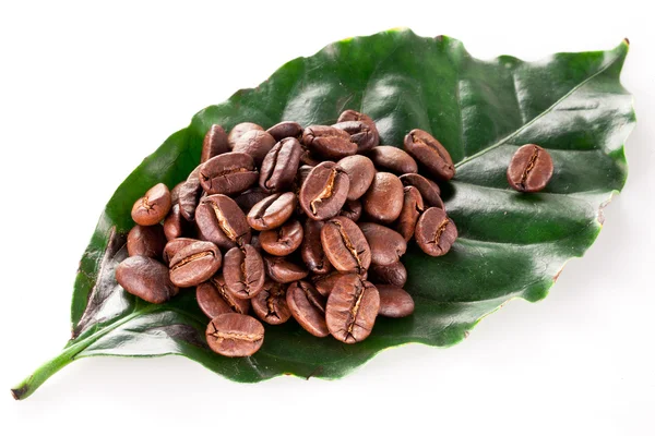 Coffee beans on leaf. — Stock Photo, Image