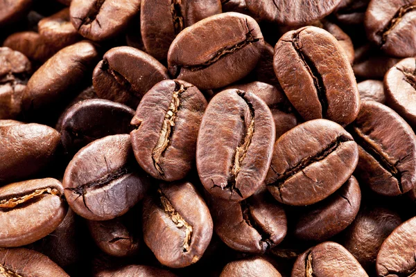 Granos de café. — Foto de Stock
