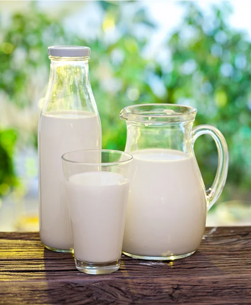 Leche en varios platos . — Foto de Stock