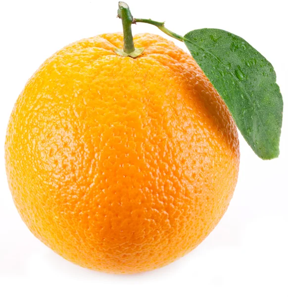 Orange med blad på vit bakgrund. — Stockfoto