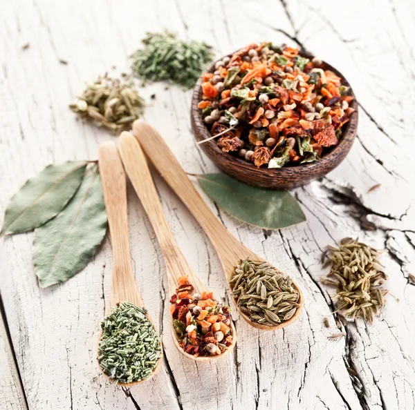 Variety of spices in the spoons. — Stock Photo, Image