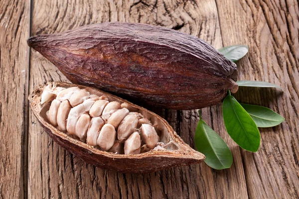 Vaina de cacao — Foto de Stock