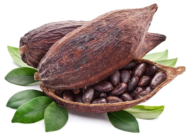 Kakaoschote — Stockfoto