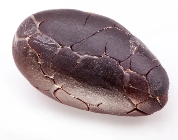 Какао-бобів — стокове фото