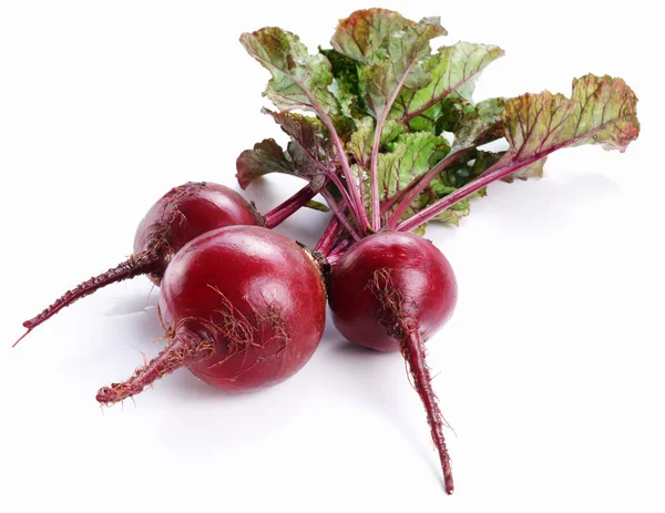 Beet roots. — Stock Photo, Image