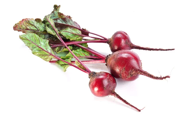 Beet roots. — Stock Photo, Image