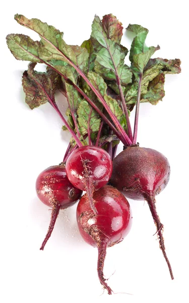 Beet roots. — Stock Photo, Image