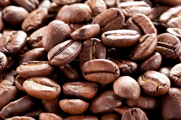 Granos de café. — Foto de Stock