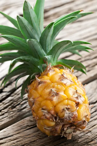 Ananas. — Photo