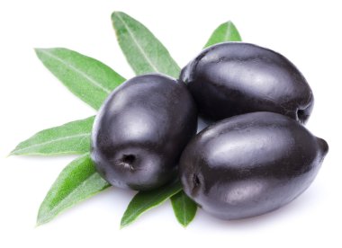 Yapraklı siyah zeytin.