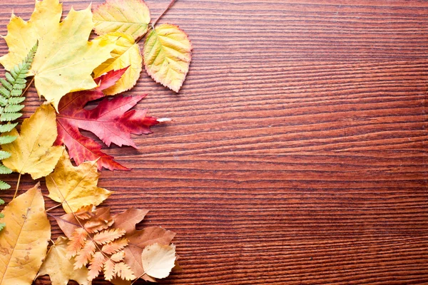 Autumn leaves. — Stock Photo, Image
