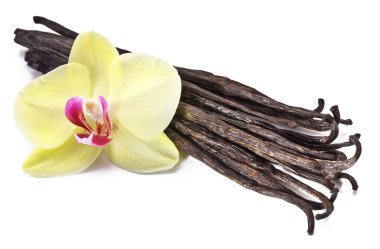 çiçek vanilya çubukları.