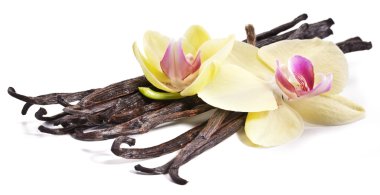 çiçek vanilya çubukları.