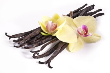 çiçek vanilya çubukları.