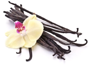 çiçek vanilya çubukları.