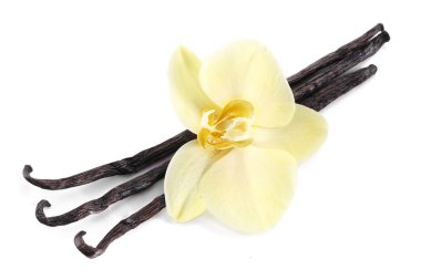 Vanilla sticks with a flower. clipart