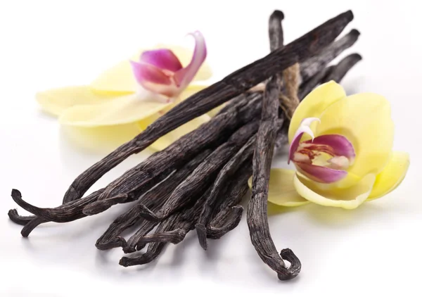 Vanille-sticks met een bloem. — Stockfoto