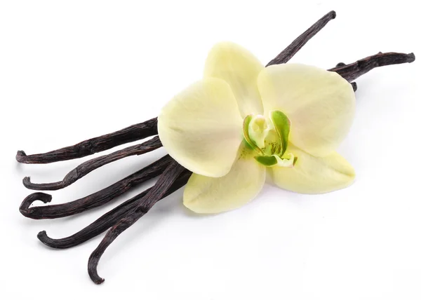 Vanilla sticks with a flower. — Stock Photo, Image