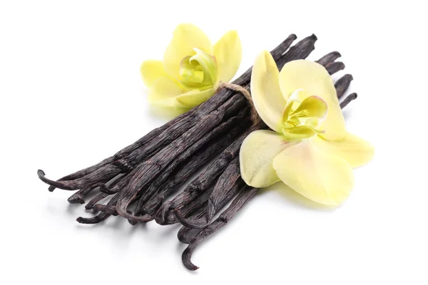 Vanille-sticks met een bloem. — Stockfoto