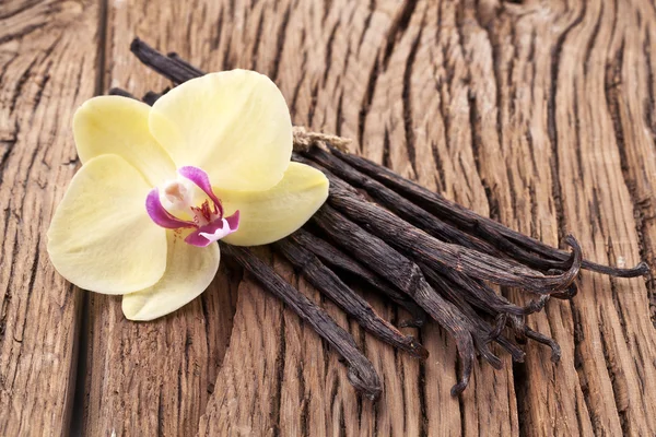 Vanilj pinnar med en blomma. — Stockfoto