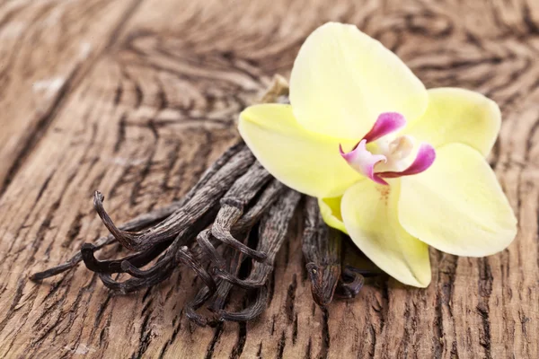 Vanille-sticks met een bloem. — Stockfoto