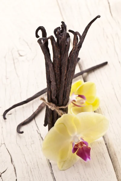 Vanilj pinnar med en blomma. — Stockfoto