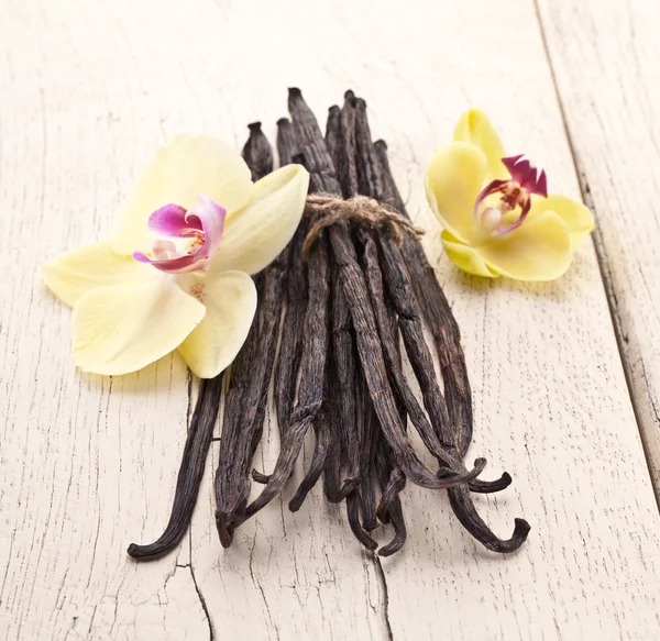 Palos de vainilla con una flor . — Foto de Stock