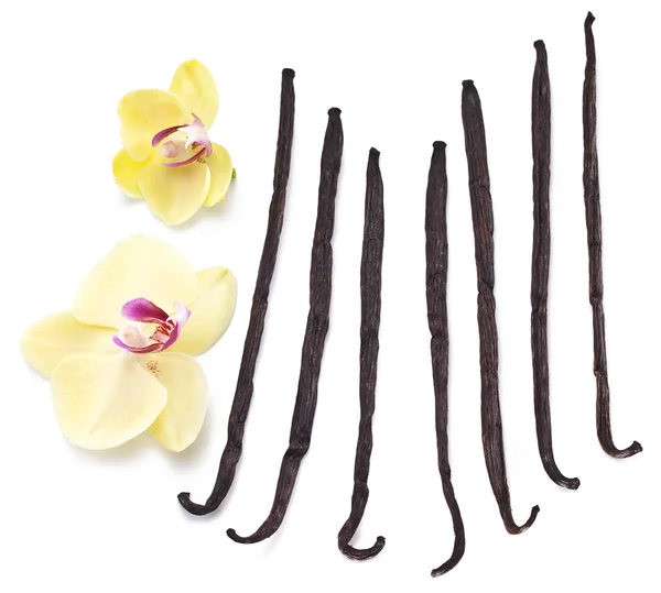 Vanille-sticks met een bloem. — Stockfoto