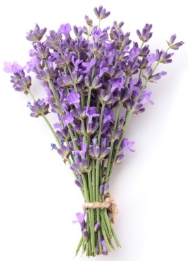 Bunch of lavender. clipart