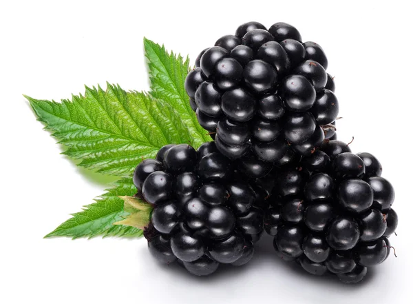 Blackberries — Stock Photo, Image