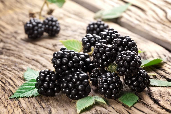 Brombeeren — Stockfoto