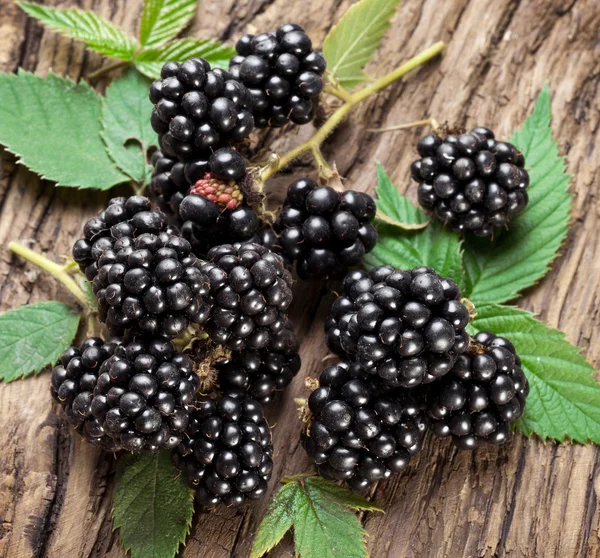 Brombeeren — Stockfoto