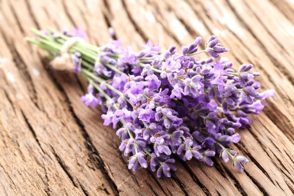 Bunch of lavender. — Stock Photo, Image