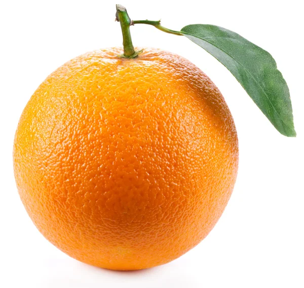 Orange med blad på vit bakgrund. — Stockfoto