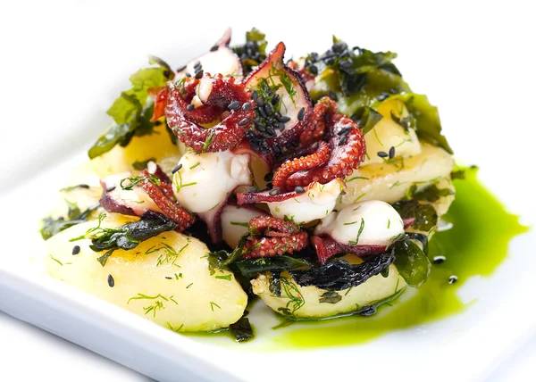 Salade van Sint-jakobsschelpen en octopus. — Stockfoto